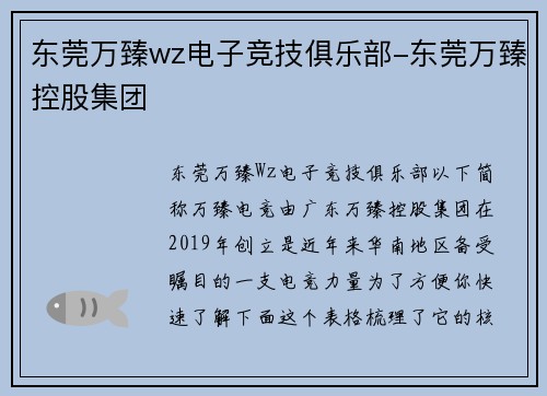 东莞万臻wz电子竞技俱乐部-东莞万臻控股集团